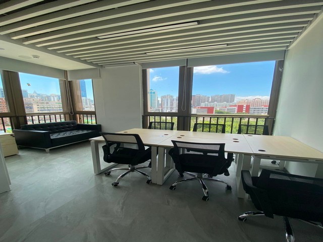 三门县大型绿植租摆