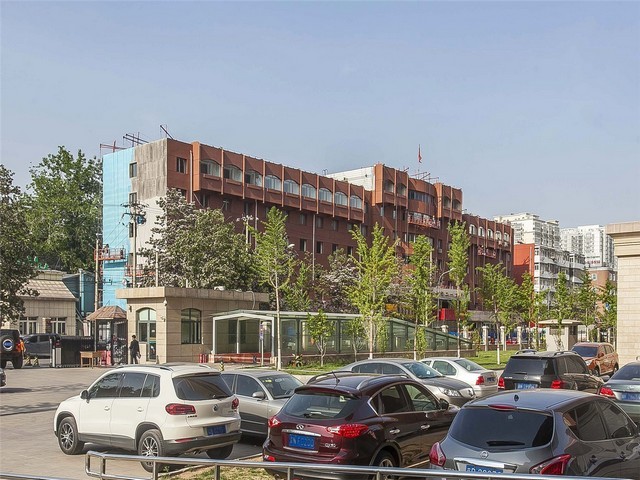 天津立领polo衫厂家